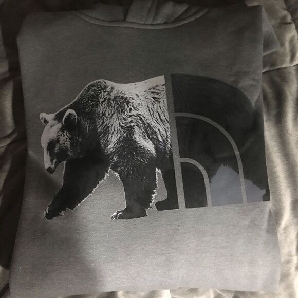 The North Face TNF™ Bear Pullover Hoodie L - Picture 13 of 13